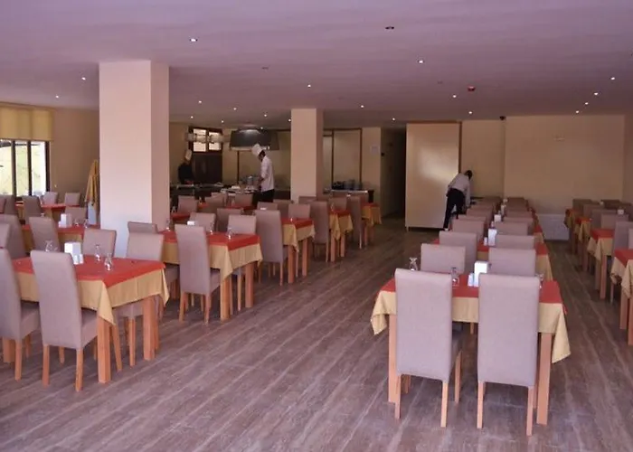 Hotel Belmare 4*